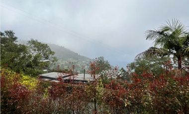 Arrienda Casa Alto De Palmas Envigado Antioquia