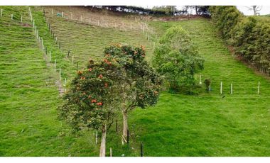 Tu Finca Soñada en Marinilla Antioquia HSZ
