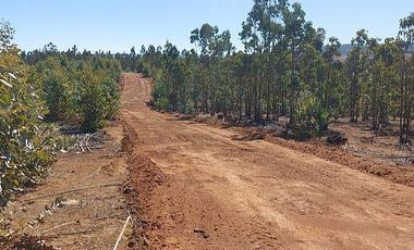 PARCELA EL PERAL A 25 MIN DE PLAYA. CARDENAL CARO, PAREDONES
