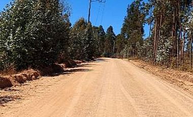 PARCELA EL PERAL A 25 MIN DE PLAYA. CARDENAL CARO, PAREDONES