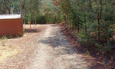 KM13 CAMINO A PINTO REGIÓN DEL ÑUBLE