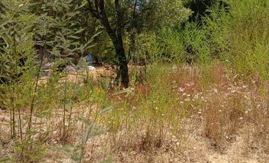 KM13 CAMINO A PINTO REGIÓN DEL ÑUBLE