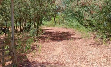 KM13 CAMINO A PINTO REGIÓN DEL ÑUBLE