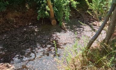 KM13 CAMINO A PINTO REGIÓN DEL ÑUBLE