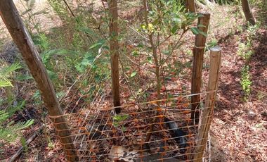 KM13 CAMINO A PINTO REGIÓN DEL ÑUBLE