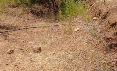 KM13 CAMINO A PINTO REGIÓN DEL ÑUBLE