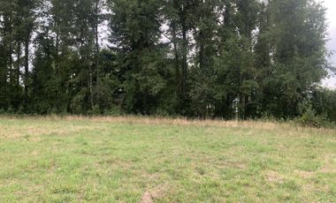 Vendo Casa en Parcela de 5000mt2 Conquil Villarrica, 2D1B