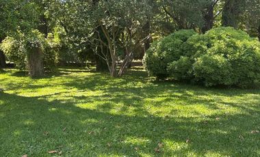 CASA CON PILETA Y GRAN TERRENO EN B° JORGE NEWBERY