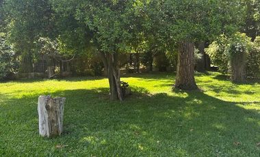 CASA CON PILETA Y GRAN TERRENO EN B° JORGE NEWBERY