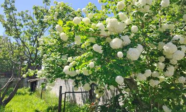 Venta casa 3 ambientes con patio y cochera Miramar