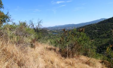 Parcela  14000 M2 Valle Marga Marga