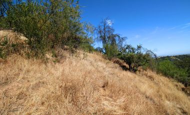 Parcela  14000 M2 Valle Marga Marga