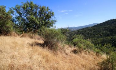 Parcela  14000 M2 Valle Marga Marga