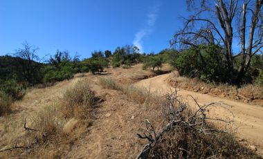 Parcela  14000 M2 Valle Marga Marga
