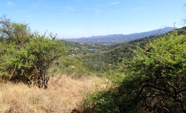 Parcela  14000 M2 Valle Marga Marga