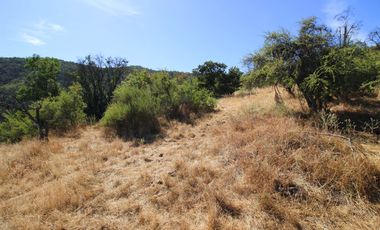 Parcela  14000 M2 Valle Marga Marga