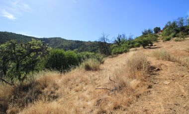 Parcela  14000 M2 Valle Marga Marga