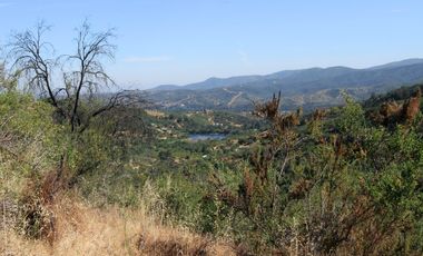 Parcela  14000 M2 Valle Marga Marga