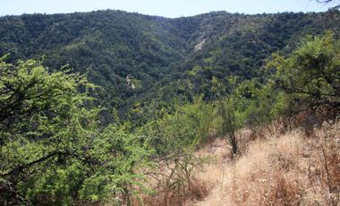 Parcela  14000 M2 Valle Marga Marga