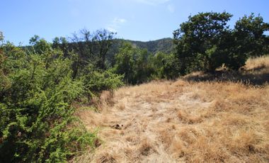 Parcela  14000 M2 Valle Marga Marga