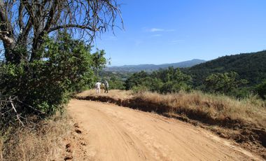 Parcela  14000 M2 Valle Marga Marga