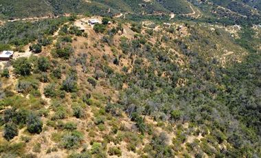 Parcela  14000 M2 Valle Marga Marga