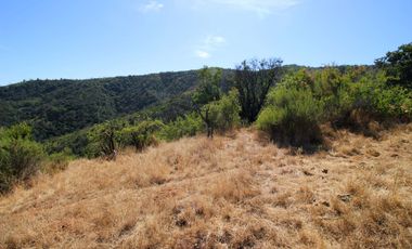 Parcela  14000 M2 Valle Marga Marga