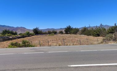 VENTA TERRENO 5500 MTS ORILLA  RUTA 5 TONGOYCILLO COQUIMBO