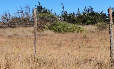 VENTA TERRENO 5500 MTS ORILLA  RUTA 5 TONGOYCILLO COQUIMBO