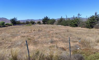 VENTA TERRENO 5500 MTS ORILLA  RUTA 5 TONGOYCILLO COQUIMBO