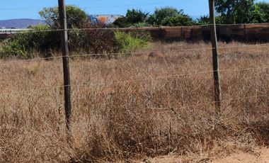 VENTA TERRENO 5500 MTS ORILLA  RUTA 5 TONGOYCILLO COQUIMBO