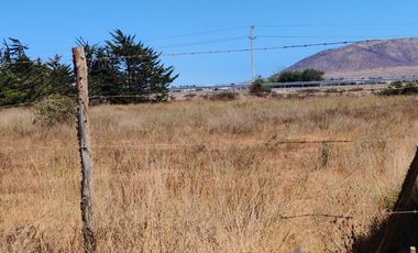 VENTA TERRENO 5500 MTS ORILLA  RUTA 5 TONGOYCILLO COQUIMBO