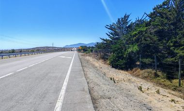 VENTA TERRENO 5500 MTS ORILLA  RUTA 5 TONGOYCILLO COQUIMBO