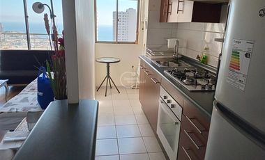 Departamento en Arriendo en Concon