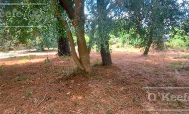 Lotes en Venta El Pato Berazategui