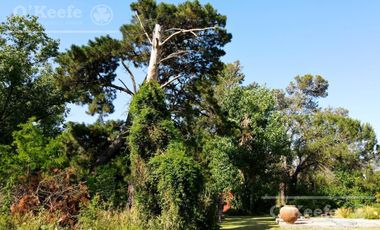 Lotes en Venta El Pato Berazategui