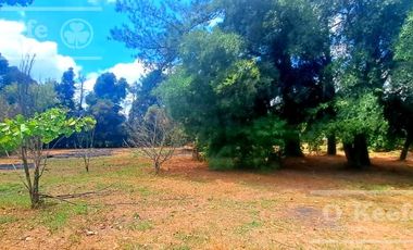 Lotes en Venta El Pato Berazategui