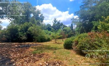 Lotes en Venta El Pato Berazategui