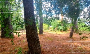 Lotes en Venta El Pato Berazategui