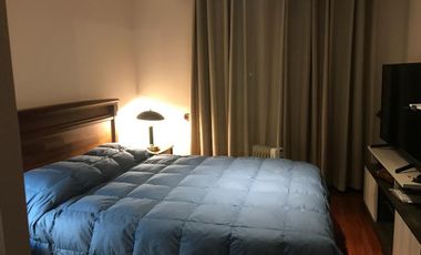 Se arrienda departamento 1D+1B Borde Rio