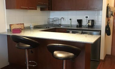 Se arrienda departamento 1D+1B Borde Rio