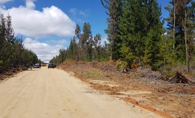 VENTA SITIO 5000 M2 A 15 MIN PICHILEMU