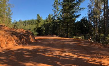 VENTA SITIO 5000 M2 A 15 MIN PICHILEMU