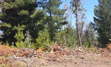 VENTA SITIO 5000 M2 A 15 MIN PICHILEMU