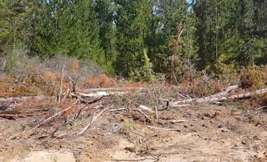 VENTA SITIO 5000 M2 A 15 MIN PICHILEMU