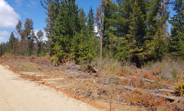 VENTA SITIO 5000 M2 A 15 MIN PICHILEMU