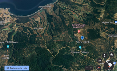 VENTA SITIO 5000 M2 A 15 MIN PICHILEMU