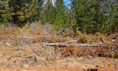 VENTA SITIO 5000 M2 A 15 MIN PICHILEMU