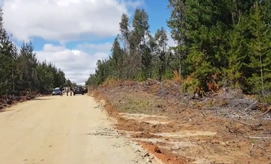 VENTA SITIO 5000 M2 A 15 MIN PICHILEMU