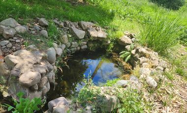 Gran Oportunidad Para Inversionistas  Parcela Parque